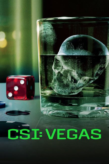 مشاهدة مسلسل CSI: Vegas الموسم الثالث الحلقة 6 مترجمة
