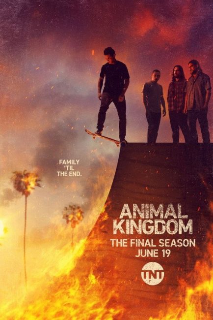 مشاهدة مسلسل Animal Kingdom الموسم السادس الحلقة 9 مترجمة