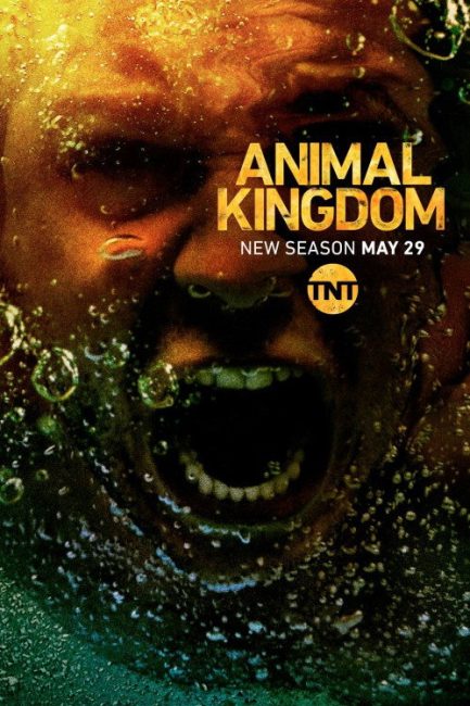 مشاهدة مسلسل Animal Kingdom الموسم الثالث الحلقة 1 مترجمة