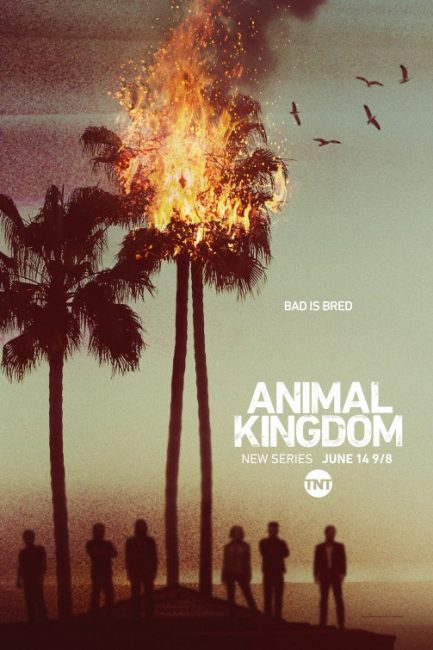 مشاهدة مسلسل Animal Kingdom الموسم الاول الحلقة 10 والاخيرة مترجمة