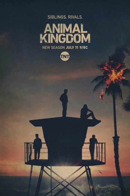 مشاهدة مسلسل Animal Kingdom الموسم الخامس الحلقة 4 مترجمة