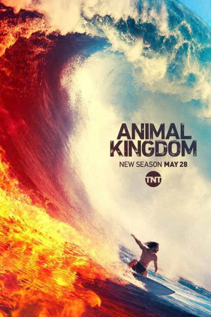 مشاهدة مسلسل Animal Kingdom الموسم الرابع الحلقة 12 مترجمة